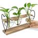 1 Set of Plants Terrarium Wooden Stand Hydroponic Planter Tabletop Heart Glass Vase