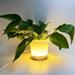 RKZDSR LED Plant Pot Modern LED Flower Pot LED Lighted Planter Illuminated Planter For Succulents And Small Plants - Suit For Home Or Office Decor