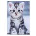 1pc Adorable Cat Garden Flag Printed Garden Flag Summer Courtyard Hanging Flag Wall Hanging Decoration for Home (Grey)