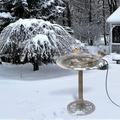 Bird Bath Heater for Outdoors in Winter Birdbaths Deicer with Thermostatically Controlled and 4.3 Ft Long Power Cord Perfect for Patio Yard and Lawn