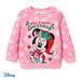 Disney Minnie Mouse Toddler Girl Pullover Sweatshirt Sweet Christmas Character Sweater Size 2-6