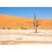 Chelsea Art Studio Namibian Skeleton Trees X by Richard Silver - Photograph Framed Wall Art Canvas | 25.75 H x 37.75 W x 1.5 D in | Wayfair