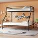 Isabelle & Max™ Akon Twin Over Full Metal Bunk Bed Metal in Black | 63 H x 56.5 W x 78 D in | Wayfair 64AAB623838045608B4127B23AFF64F5