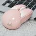 Wireless Mouse Cute Rabbit Wireless Computer Mouse for Laptop Silent Portable 2.4GHz Optical Wireless Mice Kawaii Cordless Laptop Mouse for Kids Grils PC Macbook Notebook Desktop Chromebook