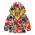 Eashery Boys Winter Puffer Jacket Hooded Lightweight Reversible Full Zip Shell Jacket Lightweight Pullover Top Toddler Jacket (Yellow 2-3 Years)