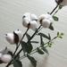 Dried Cotton Flower 1Pc 5 Balls Dried Cotton Flower with Artificial Eucalyptus Leaf Decorative Floral Branch for Home Wedding Party (White Green)