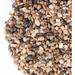 GASPRO Pea Gravel for Plants, 2.5lbs, 1/5 Inch Natural Decorative Pebbles for Fish Tank, Aquarium | 10.2 H x 7.1 W x 2 D in | Wayfair