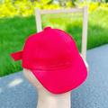 Cute Straw Hat for 15cm Dolls Fashion Caps Baseball Cap Animal Casual Hat 20cm Doll Hat 1