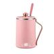 Mini Kettle 0.45L Small Travel Kettle Portable Electric Kettle with Temperature Setting 45°C-100°C, Keep Warm Function, Tea Maker Made of Stainless Steel for Traveling, Camping