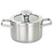 BergHOFF Graphite Recycled 18/10 Stainless Steel Stockpot in Stainless Steel in Gray | 3.4 H x 13.2 W in | Wayfair 3950491