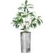 Artificial Tree In Modern Planter Fake Dracaena Tree Silk Tree For Indoor And Outdoor Home Decoration - 66 Overall Tall (Plant Plus Tree)