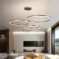 Lampadario moderno a Led illuminazione domestica anelli spazzolati lampadario a soffitto