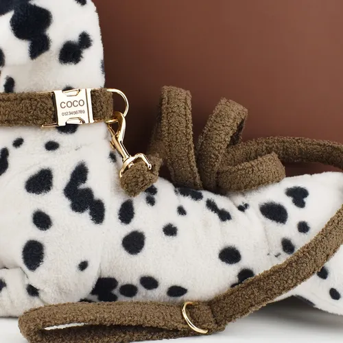 Teddy Samt Hunde halsband und Leine Set für kleine mittelgroße Hunde individuell gravierte