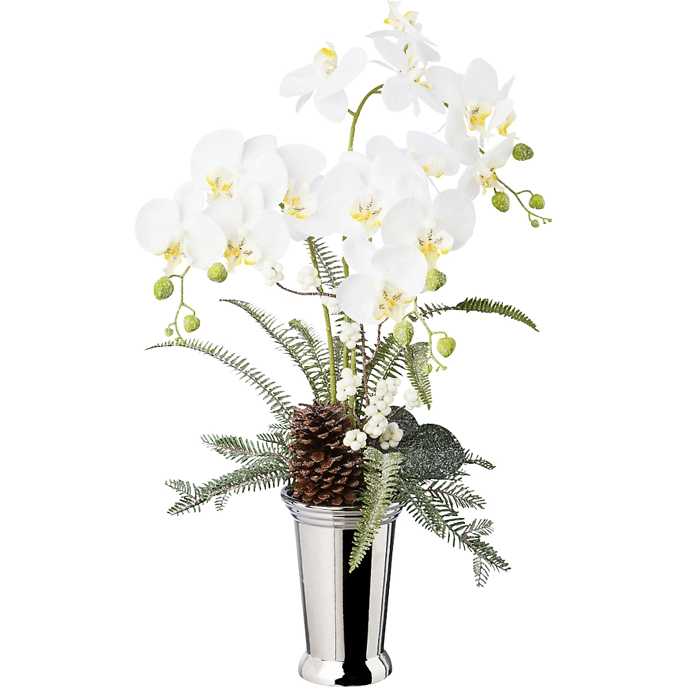 Arrangement d'orchidées papillons dans un vase en céramique - kaiserkraft