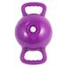 Kettlebells Yoga Fitness Kettle Bell Water Kettle Bell Double Handles Sports Equipment for Man Woman (Flat Base Pattern Purple)