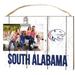 South Alabama Jaguars 8'' x 10'' Weathered Clip It Frame