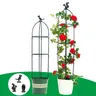 Cadre de support de plantes grimpantes treillis de plantes grimpantes cages de support de tomate