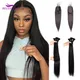 Mèches Brésiliennes Naturelles Remy Lisses avec Lace Closure 2x6 Extensions de Cheveux Longs