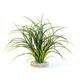 Sydeco Plastic Plants & Gravel Base Fan Grass