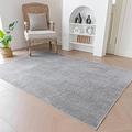 Evitany Modern Grey Rugs for Living Room Washable Short Pile Carpet Anti-Slip Traffic Rug Soft Chenille Shaggy Area Rugs Waterproof Rugs for Living Room Bedroom,Grey,120x160 cm