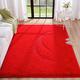 BENRON Red Rugs for Living Room - 5' x 8' Shaggy Rug Fluffy Red Rugs for Kids Girls Boys Nursery Bedroom Carpet Ultra Soft Red Area Rugs, 5x8 Feet