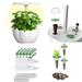 Leesechin Deals Green Seed Pod Kit Green Leafy Vegetables Romaine And Butterhead Lettuce Seed Pod Kit (Kit 1: 30pcs/set (Seedling Cover. Stickers. Planting Basket) Kit 2: 30p on Clearance