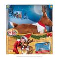 HCM Kinzel - Elf Pets® - Box Set Rentier