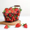 Modèle de fausses fraises durables décoration de Festival réaliste modèle de fraises