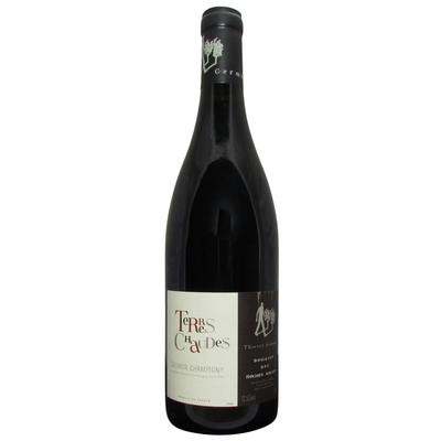 Thierry Germain Saumur Champigny Terres Chaudes 2021 Red Wine - France