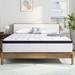 Full Medium 14" Hybrid Mattress - Alwyn Home Analia Pocketed Coil Edge Support | Wayfair 190C1C8D884B4F4BB49D597434203C77