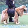 Imbracatura per cani portatile per gambe posteriori imbracatura di supporto per l'anca imbracatura