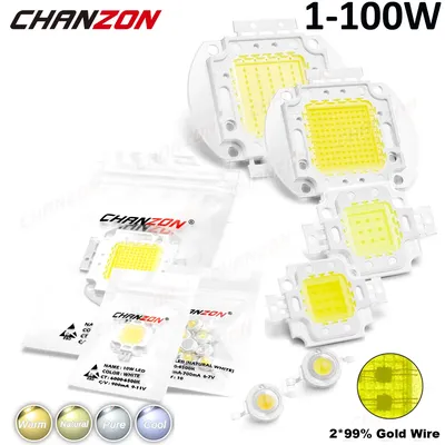 High Power Led Light Chip Bead 1W 3W 5W 10W 20W 30W 50W 100W Warm Natural Cold White DIY 1 3 Watt Smd Cob Bright Floodlight Bulb
