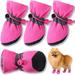 Dog Shoes for Small Dogs Booties Paw Protectors for Winter Snowy Day Anti Slip Puppy Dog Boots Outdoor Walking Booties Dog Indoor Hard Floor Shoes