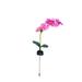 Ongmies Room Decor Clearance Lamp Led Solar Light Polyestersturdygardenpeople Multicolor