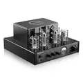 Audiophile amplificatore di potenza a tubo ad alta potenza Wireless Bluetooth HIFI Mini tubo amplificatore di potenza Amp interfaccia coassiale in fibra ottica