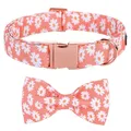 Collare per cani rosa personalizzato con papillon collare per cani estivo collare per cani