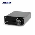 AIYIMA 100W TPA3116 amplificatore Subwoofer classe D Mini amplificatore di potenza amplificatore Audio Mono Amp per altoparlante passivo domestico