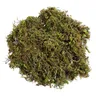 WINOMO 1 Packs Artificial Grass Moss Fake Simulation Decor piante verdi Faux Grass Moss Lichen