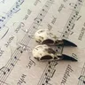 Orecchini con teschio di corvo 3D resina Replica corvo gazza corvo orecchini pendenti per le donne