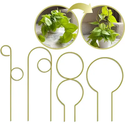 1Set supporto per piante da giardino traliccio per piante in metallo giardinaggio da giardino