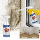 Mold Remover Spray Prevent Fungus Furniture Tile Wall Stains Removal Sink Descale Antibacterial