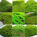 Artificial Turf Moss Grassland Fake Grass Lawn Carpet Artificial Turf Outdoor Grass Mat Moss Carpet