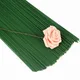 10/20/30pcs Diameter 2mm Dark Green Paper Wrapped Floral Stem Wire 16 Inch DIY Bouquet Stem Wrapping