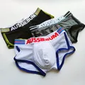 AUSSIEBUM Beach Men's Breathable Mesh Polyester Boxer Briefs U Convex design Solid color Sexy Shorts