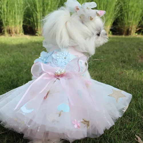 Hund Kleid Luxus Hunde Jäten Kleid Stickerei Spitze Tutu Jäten Rock Sommer Kleid Chiwawa Kleid Für