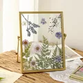 4 Inch 6 Inch Diy Glass Photo Frame Handmade Creative Simple Dried Flower Picture Frame Minimalist