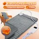 220V Electric Heating Pad Portable Electric Blanket Heated Blanket Warming Pain Relief Pad Small