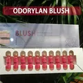 Korea 5ml Odorylan Semi-Permanent Blush Serum Starter Kit Persistent Brightening Concealer Paint BB