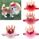 Pet Birthday Dog Crown Cap with Lace Pearl Red Series Sequin Decorate Hat with Adjustable Dog
