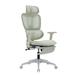 Ergonomic Mesh Office Chair with 2D Adjustable Armrest, Modern High Back Computer Chair with Headrest, for Home, Reception Room